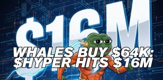 Bitcoin Hyper Presale Hits $16M As Whales Purchase $64Ok, Is This the Subsequent Crypto to Explode?