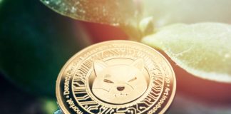 Shiba Inu Worth In Hassle? SHIB Workforce Goes After Attackers After Main Bridge Compromise