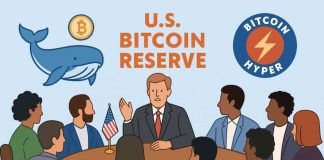 Bitcoin Hyper Whales Spend Further $58Okay+ Amid US Bitcoin Reserve Talks