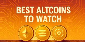 Finest Altcoins to Watch as Ethereum to Substitute Wall Road Infrastructure