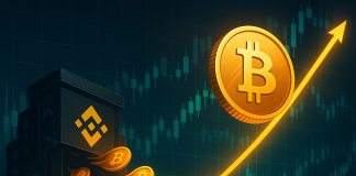 Bitcoin Touches $117,000 As Binance Information 9 Days Of Outflows