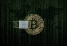 Zeus Community Builds The Bridge: Connecting Bitcoin And Solana Ecosystems — Right here’s How