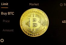 Bitcoin Holds $117,500 On Retail Help Whereas Whales Keep Quiet – Trigger For Concern?