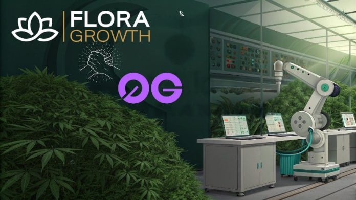 Hashish Firm Flora Development Makes $401 Million Wager on AI Expertise Hashish Firm Flora Development Makes $401 Million Wager on AI Expertise