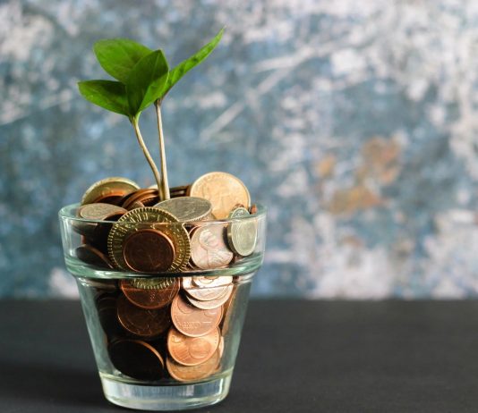 XRP Will get A Retirement Twist: Skilled Calls It A 401(okay)