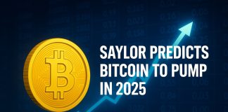 Saylor Predicts Bitcoin to ‘Transfer Up Well Once more’ in 2025: Why Guess on Bitcoin Hyper