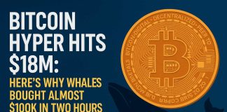 Whales Scoop Up $100Okay in 2 Hours – Bitcoin Hyper Presale Mania Crosses $18 Million