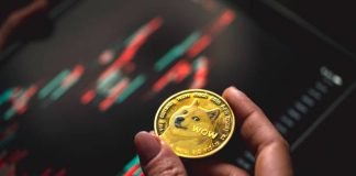 Analysts Predict Dogecoin Worth Will Explode: Why The $1 Mark Is Inevitable
