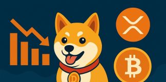 Maxi Doge’s $2.5M Presale Hits the Highlight as XRP Loses 6% and Bitcoin Falls Beneath $109Okay