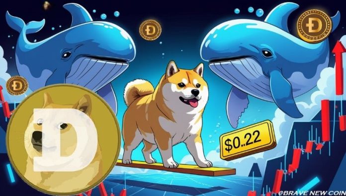 Dogecoin (DOGE) Value Prediction: Dogecoin Holds $0.22 Assist—Can Whales Accumulate as ETF Buzz Builds?