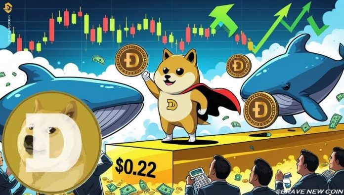 Dogecoin (DOGE) Worth Prediction: Whales Dump 40M DOGE however $0.22 Assist Holds—Is a Musk-Fueled ETF Rally Subsequent?
