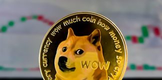 Analyst Says Dogecoin’s Parabolic Run Is Inevitable – Historic Sample Level To One other Breakout