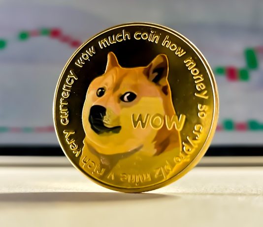 Analyst Says Dogecoin’s Parabolic Run Is Inevitable – Historic Sample Level To One other Breakout