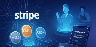 Stripe’s Stablecoin Issuance Device Would possibly Be the Way forward for Finance: Right here’s Why