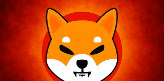 Shiba Inu Faces Make-Or-Break Degree That Might Outline This fall 2025