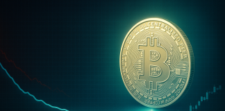 Bitcoin Quick-Time period Holder RVT Nears Cycle Lows: A Wholesome Reset?