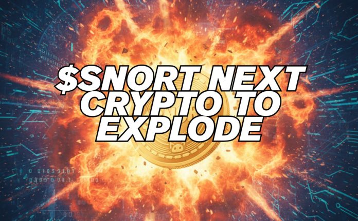 Circle Expands RWA to Solana: Snorter Token is the Subsequent Crypto to Explode Circle Expands RWA to Solana: Snorter Token is the Subsequent Crypto to Explode