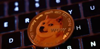 Historic Danger Ranges Say Dogecoin Value Has Not Topped But, Extra Upside Coming?
