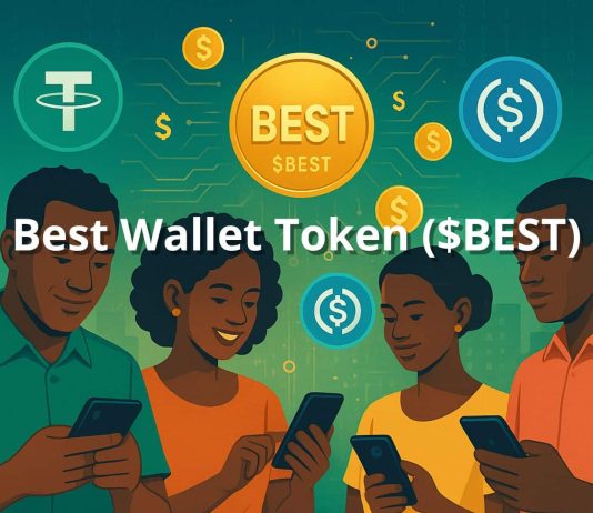 Stablecoins Assist Africa Beat Inflation as Greatest Pockets Token Good points Momentum