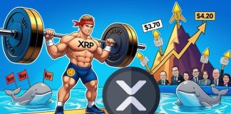 XRP Worth Prediction: XRP Targets Main Breakout with $3.70 Head-and-Shoulders Neckline in Focus