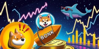 Bonk (BONK) Worth Prediction: Bonk Holds $0.000021 Assist as 600-Day Accumulation Indicators 10x Breakout Potential