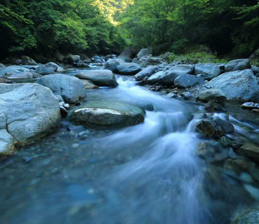 Cash Retains Flowing: Crypto Funds Hit Report $6-B Inflows