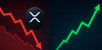 Prime Altcoins to Watch as XRP Liquidations Shake the Market Prime Altcoins to Watch as XRP Liquidations Shake the Market