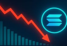 Solana Community Exercise Drops 50%: Is The Rally Constructed On Weak Fundamentals?