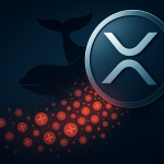 XRP Whales Are Promoting: $50 Million Exiting Wallets Each Day