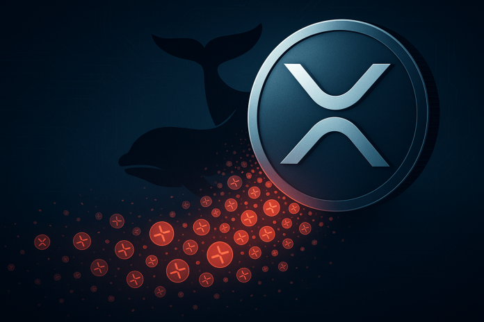 XRP Whales Are Promoting: $50 Million Exiting Wallets Each Day