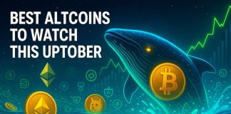 Finest Altcoins to Watch This Uptober as $11B Whale Fuels DeFi