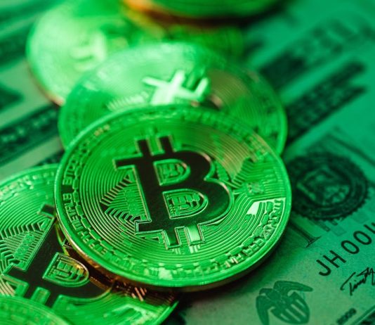 Bitcoin Whale Exercise Displays Sustained Confidence As $163Ok Comes In Sight — Particulars