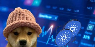 Can Dogwifhat Maintain Its Surge After Whale Exercise Boosts Momentum