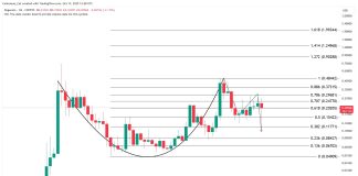 Dogecoin Cup and Deal with Holds A Secret Few Are Seeing