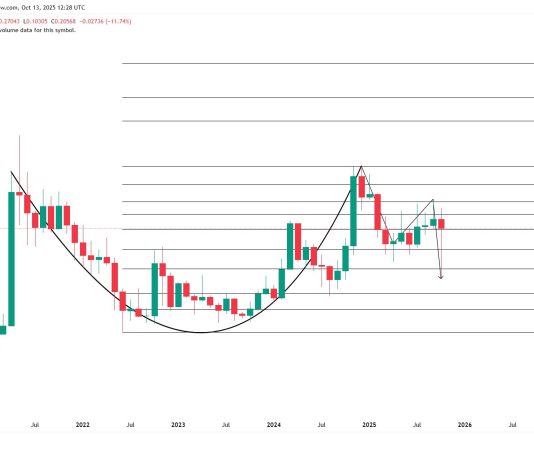 Dogecoin Cup and Deal with Holds A Secret Few Are Seeing Dogecoin Cup and Deal with Holds A Secret Few Are Seeing