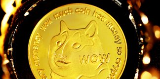 Dogecoin Sheds 25% As $57M Flees Market — Can The Memecoin Get better?