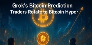Grok’s Bitcoin Value Prediction with Fears of $100Okay: Merchants Rotate to Bitcoin Hyper