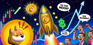 Bonk (BONK) Worth Prediction: Bonk Poised for November Rally, May Surge Towards $0.00005 Following Fibonacci Targets