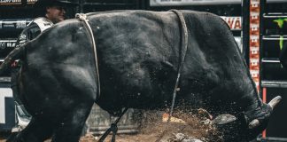 Ethereum Beware — Analyst Says XRP’s Subsequent Bull Run Might Be Lethal Ethereum Beware — Analyst Says XRP’s Subsequent Bull Run Might Be Lethal