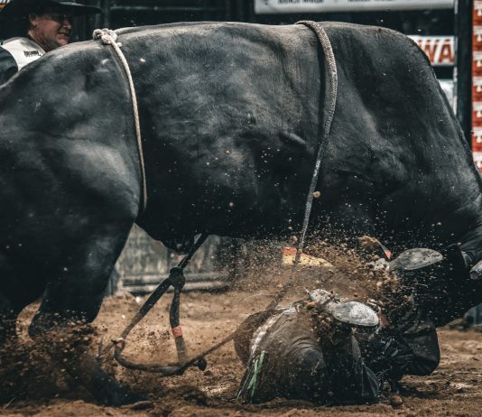 Ethereum Beware — Analyst Says XRP’s Subsequent Bull Run Might Be Lethal