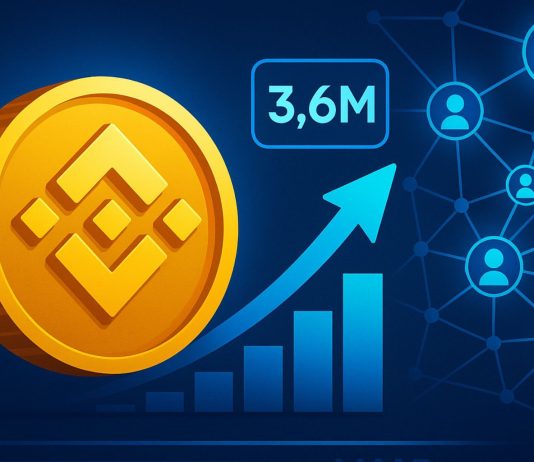 BNB Lively Addresses Hit File 3.6 Million – Analyst Explains Community Progress