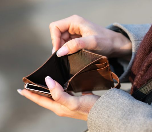 XRP Wallets Holding Over 10,000 Tokens Hit Report Excessive Amid Worth Restoration
