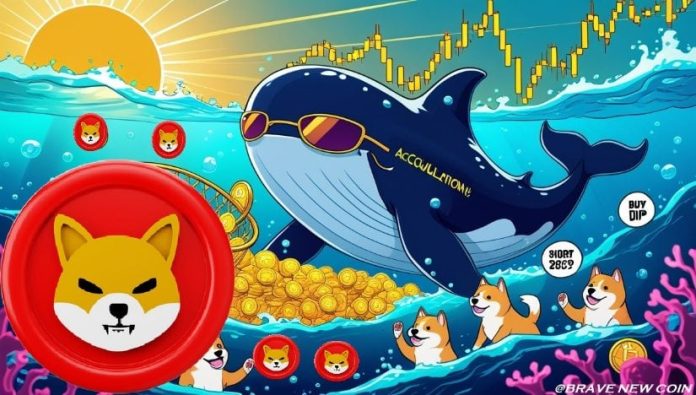 Shiba Inu (SHIB) Worth Prediction: Shiba Inu Whales Speed up Accumulation as Restoration Positive factors Momentum Towards $0.0000235 Breakout Shiba Inu (SHIB) Worth Prediction: Shiba Inu Whales Speed up Accumulation as Restoration Positive factors Momentum Towards $0.0000235 Breakout