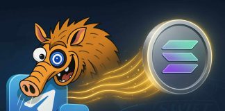 Citadel CEO’s Solana Wager Sparks Altcoin Momentum – Why It’s Time to Put money into $SNORT