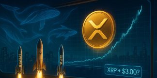 Finest Three Altcoins to Purchase as XRP Exhibits Renewed Whale Curiosity