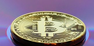 Bitcoin Holds Regular As Gold Shed Trillions In Worth — What This Means