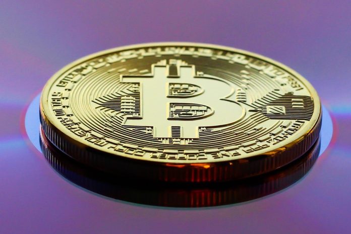 Bitcoin Holds Regular As Gold Shed Trillions In Worth — What This Means