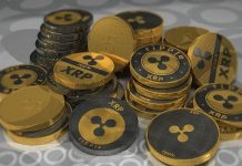 XRP Value At $1,000, Solana To $1,000, And Cardano At $100? Bull Run Predictions Catch Consideration