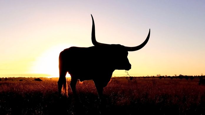 XRP Sparks Bullish Frenzy As High Software program Dev Says It Beats ETF Hype