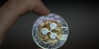 XRP Open Curiosity Returns To Might 2025 Low — New All-Time Excessive Quickly?
